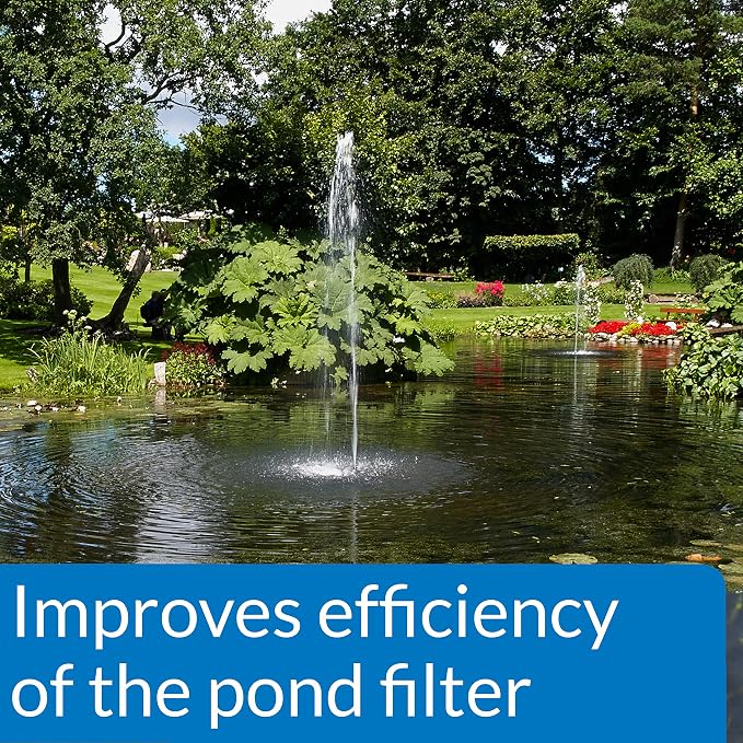 API Pond ACCU-Clear (64 fl oz) Water Clarifier - Improves Filter Efficiency | Quickly Cleans Cloudy Pond Water - Treats Up To 9,600 Gallons - Safe for Pets & Wildlife - Weekly Maintenance or As Needed