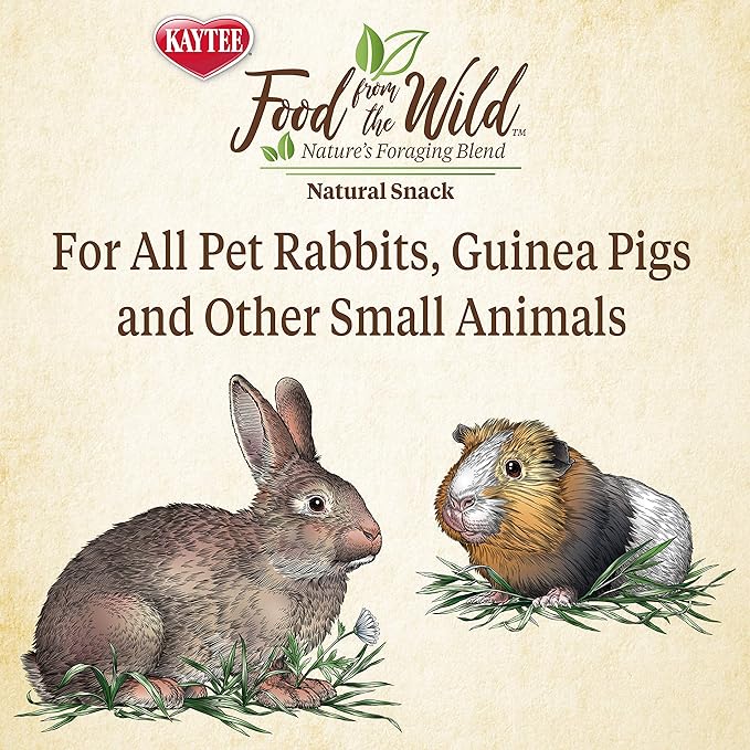 Kaytee Food from The Wild Natural Snack for Pet Rabbits, Guinea Pigs and Other Small Animals, 1 Ounce (Pack of 2)