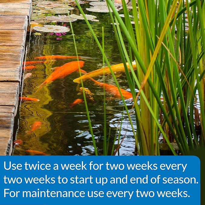 API POND-ZYME SLUDGE DESTROYER (8 oz) Pond Cleaner with Natural Pond Bacteria - Up to 8,000 Gallons - Reduces Fish Waste Buildup - Consumes Muck & Sludge - Spring Start Up & Regular Care