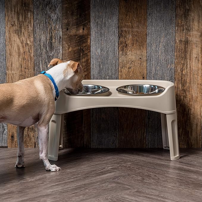 IRIS USA Elevated Dog Bowls Adjustable Stand, Raised Feeding Station with 2 Stainless Steel 64 oz Bowls, Spill Guard, Dual Height 12.25" or 4.63", Made in USA, Almond