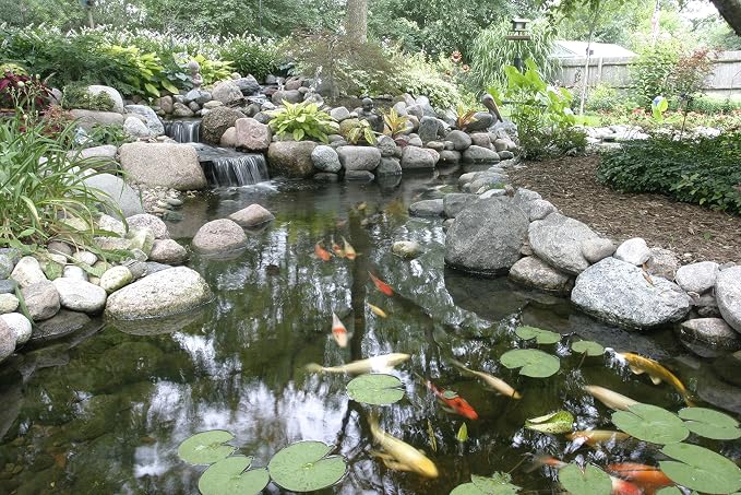 Aquascape Cold Water Beneficial Bacteria for Pond and Water Features 32 oz. / 946ml, 98894
