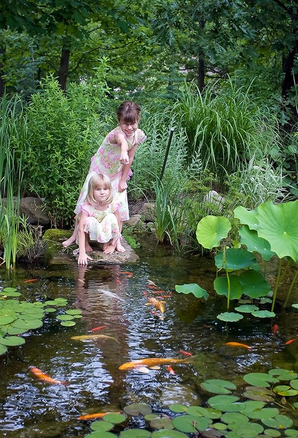 Aquascape Beneficial Bacteria Liquid Water Treatment for Ponds and Water Gardens (16 Oz / 473 ml)