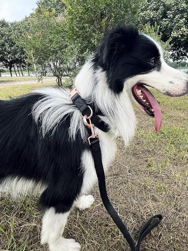 Dog Collar and Leash Set.Soft and Easy to Clean Vegan Leather with Rose Gold Metal Buckle for Small Medium Large Dogs (Black, S(12.2"-16.9"))