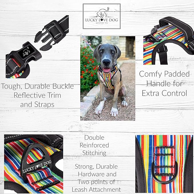 Lucky Love Dog Harness, Easy to Walk, No Pull Dog Harness, Adjustable Custom Fit (Hippie, Small)