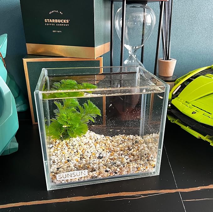 AWXZOM Small Nano Tall Rimless Tank, Glass Fish Tank, Betta Tank (0.7 Gallon, 5.9x4.3x5.1in/15x11x13cm)