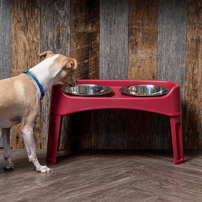 IRIS USA Elevated Dog Bowls Adjustable Stand, Raised Feeding Station with 2 Stainless Steel 64 oz Bowls, Spill Guard, Dual Height 12.25" or 4.63", Made in USA, Red