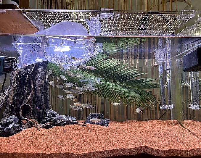 AWXZOM 11lb Natural South American Rainforest Sand, Aquarium red Sand, Lava Rock Soil, Red Lava Rock Sand, Succulent Sand Fish Tank Sand Aquarium Substrate Sand