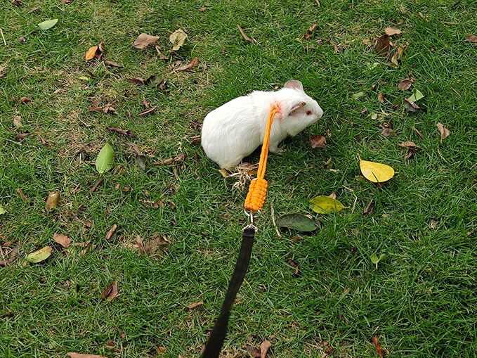 GOMICRAFT Handmade Figure 8 Harness and Leash for Rabbits/Bunnies/Ferrets/Bearded Dragons/Guinea Pigs/Rats/Chinchillas/Birds/Squirrels/Small Animals.Pack of 2