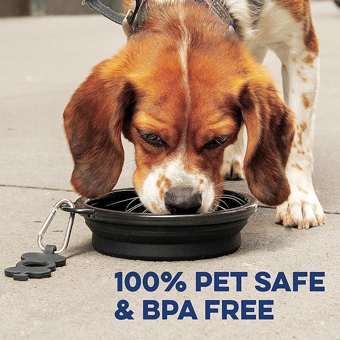 Bonza Collapsible Dog Bowls - Medium 25 oz, Dog Travel Accessories, Silicone Portable Dogs Bowl & Water Dish with Reinforced Rim & Carabiner for Hiking, Camping, and Car Trips, Light Gray